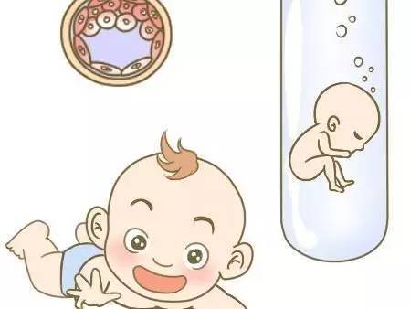 胚胎实验室主任