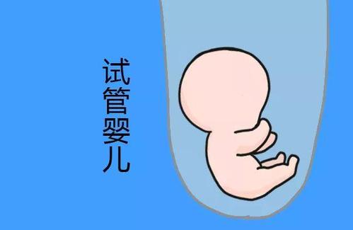 遗传咨询专家